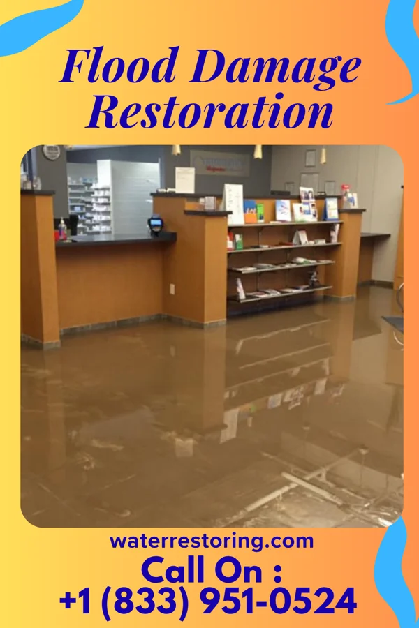Flood Damage Restoration in South Henderson, NC
